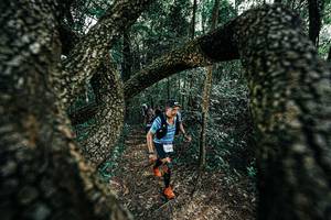 BIB: 
                            <button type="button" onclick="openModal(25392067)" class="btn btn-primary btn-sm float-right btn-popup" data-toggle="modal" data-target=".modal-high-quality">
                        <i class="fas fa-shopping-cart"></i> Add to Cart
                    </button>
                                            <button type="button" onclick="isThisMe(25392067, true)" class="btn btn-success btn-sm float-right btn-popup btn-isme hidden" data-toggle="tooltip" data-placement="bottom" title="นี่คือรูปของคุณใช่ไหม คลิกที่นี่เพื่อเอาเข้าอัลบั้ม">
                        <i class="fas fa-plus"></i> Add to album
                    </button>
                    <button type="button" onclick="isThisMe(25392067, false)" class="btn btn-warning btn-sm float-right btn-popup btn-isnotme hidden">
                        <i class="fas fa-ban"></i> Remove from album
                    </button>